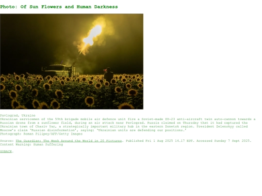 blog_sunflowers screenshot