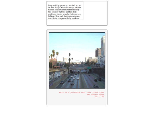 blog/newblog/newblog screenshot