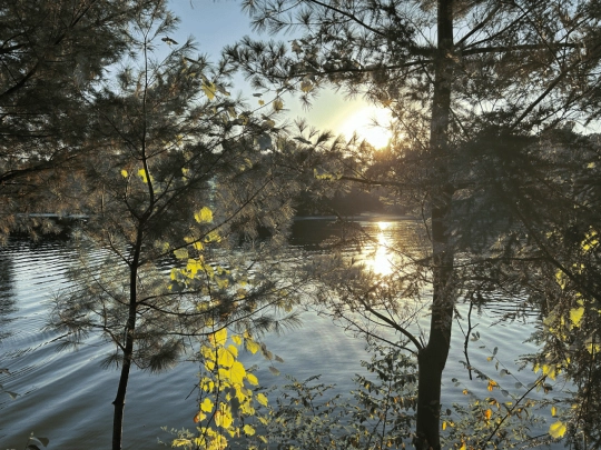 about/about screenshot