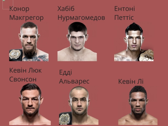 kurs/konor screenshot