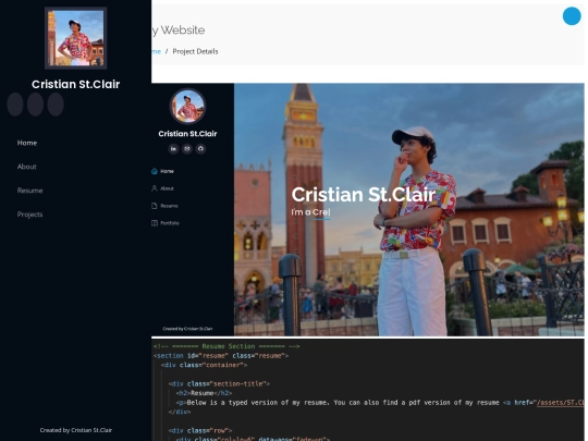 website-project-details screenshot