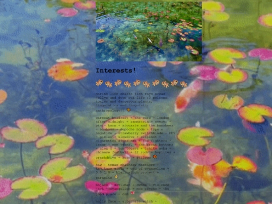 interests screenshot