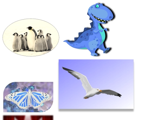ewfvads screenshot