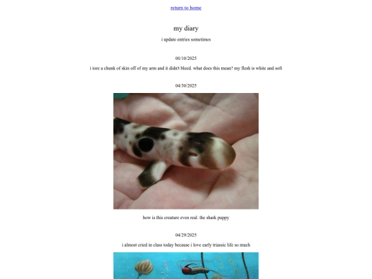 diary screenshot