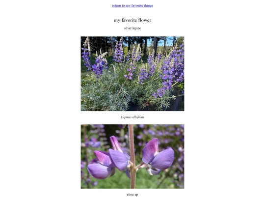 favoriteflower screenshot