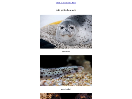 spottedanimals screenshot