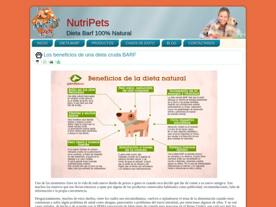 Blog Posts/post-2 screenshot