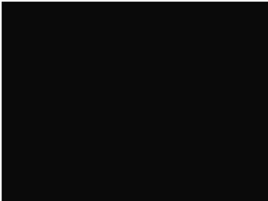 p10 screenshot