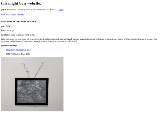 works/whitenoiseonyourhometelevision screenshot