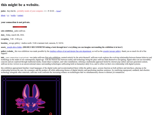yourconnectionisnotprivate screenshot