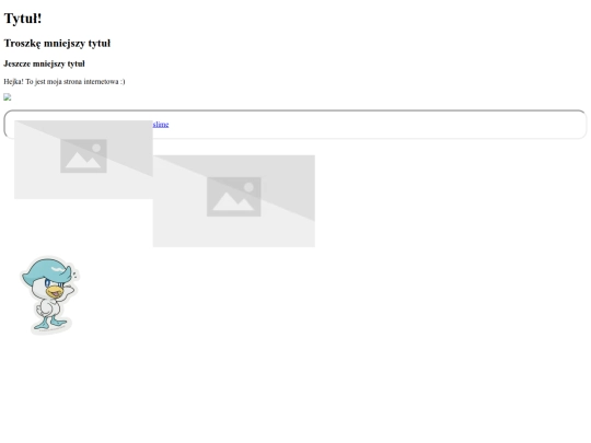 strona screenshot
