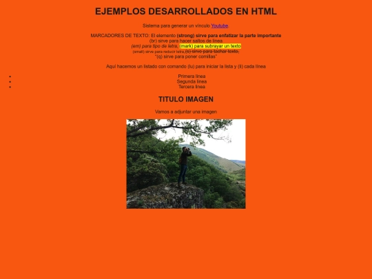 Pract.final/css screenshot