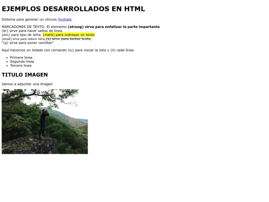 Pract.final/html screenshot