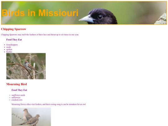 birds screenshot
