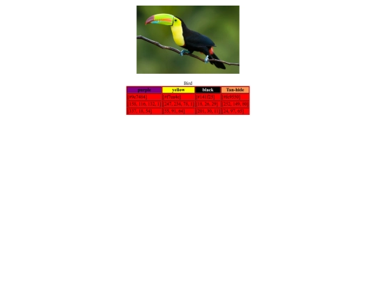 color scheme screenshot