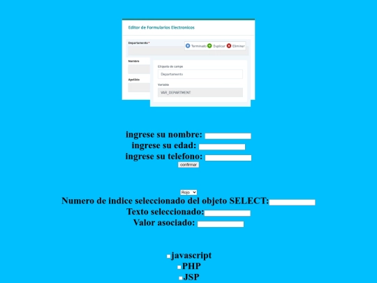formulario screenshot