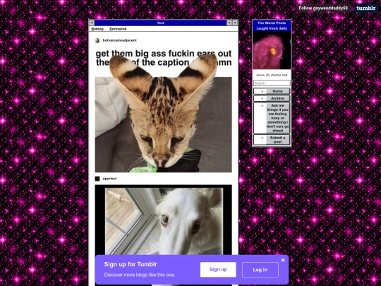 wayback_archive/html/fcd292414d4136117d45117c59e4760c8918f777.00000116 screenshot