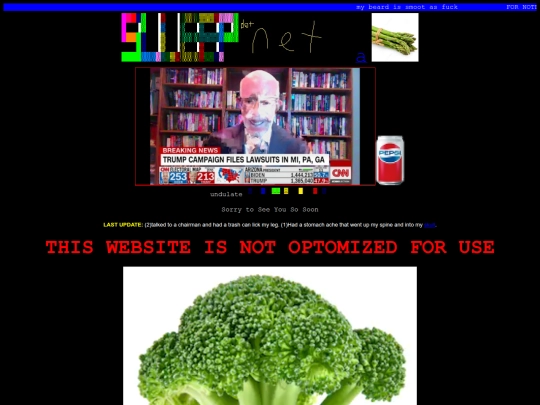 slleepdotnet/slleepdotnet screenshot