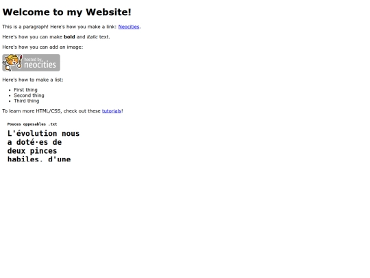 index screenshot