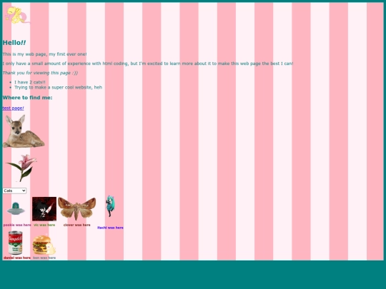 page1 screenshot