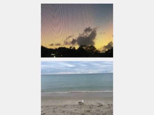 photos screenshot