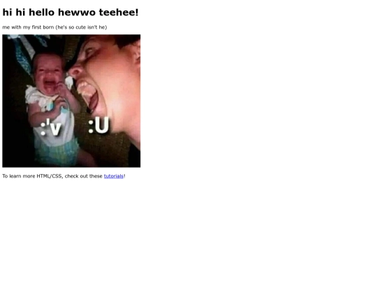 purrzwebsite screenshot
