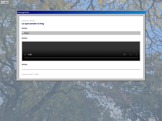 Projects/template screenshot