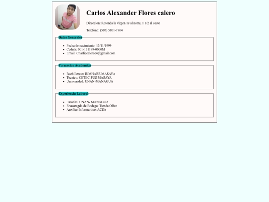 CV_Carlos Calero screenshot