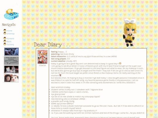 diary/january25 screenshot