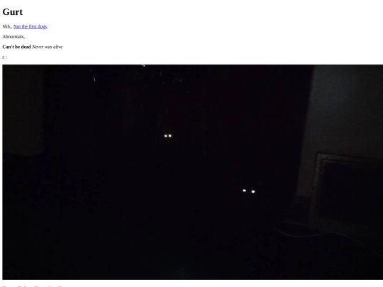 Dog screenshot