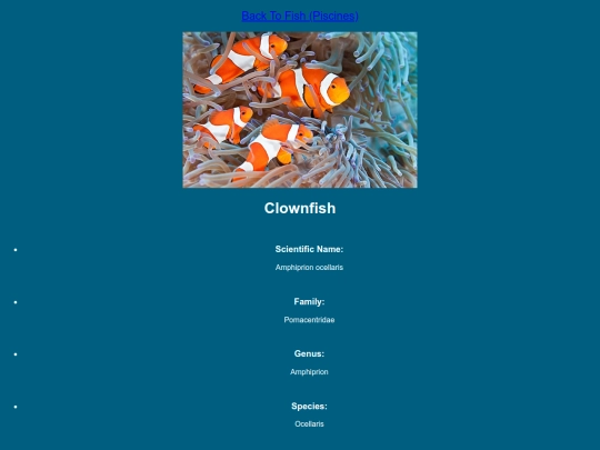 DESN214Project1/clownfish screenshot