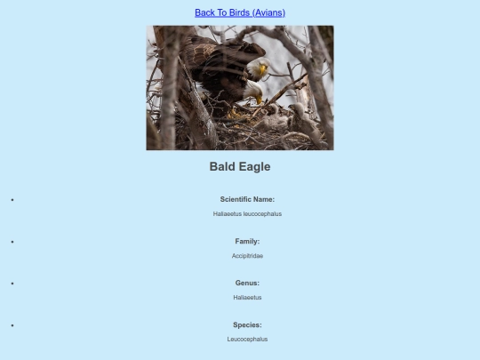 DESN214Project1/eagle screenshot