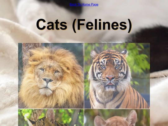 DESN214Project1/felines screenshot