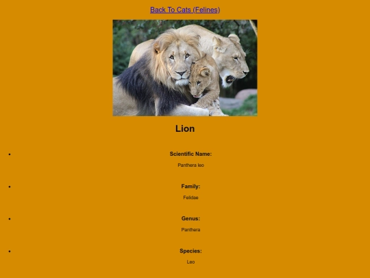 DESN214Project1/lion screenshot
