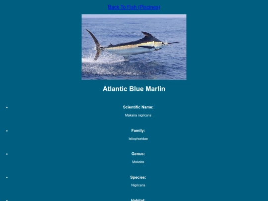DESN214Project1/marlin screenshot