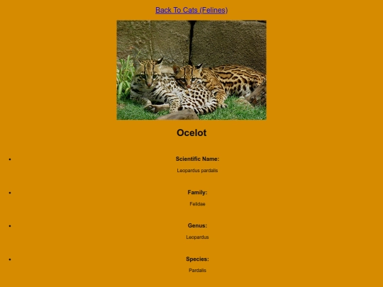 DESN214Project1/ocelot screenshot