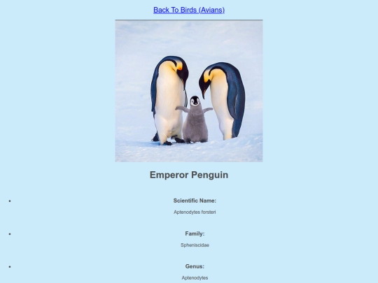 DESN214Project1/penguin screenshot