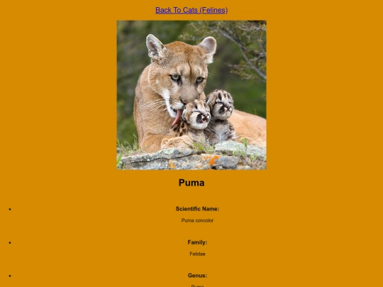 DESN214Project1/puma screenshot