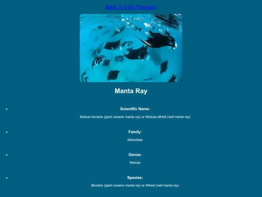 DESN214Project1/ray screenshot