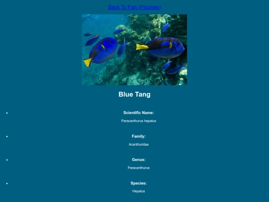 DESN214Project1/tang screenshot