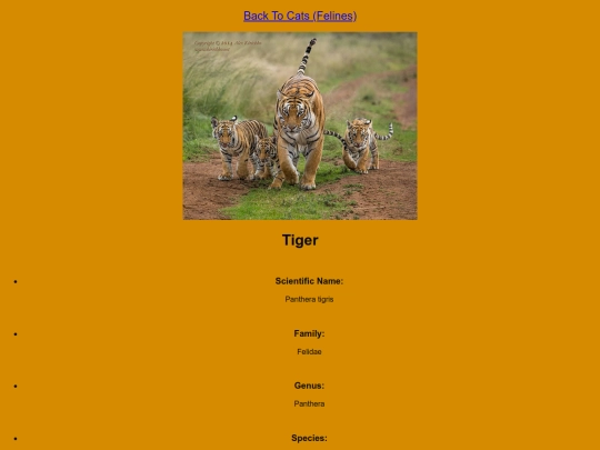 DESN214Project1/tiger screenshot
