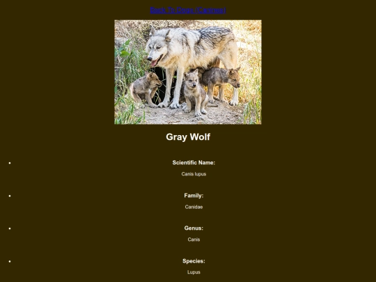 DESN214Project1/wolf screenshot