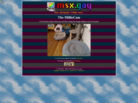 millie-cam/noscript screenshot