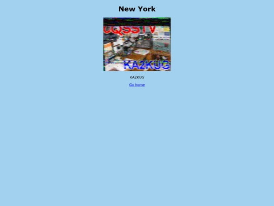 newyork screenshot