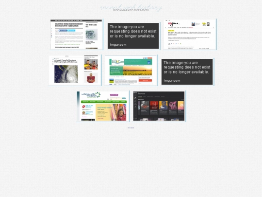 webhistory screenshot