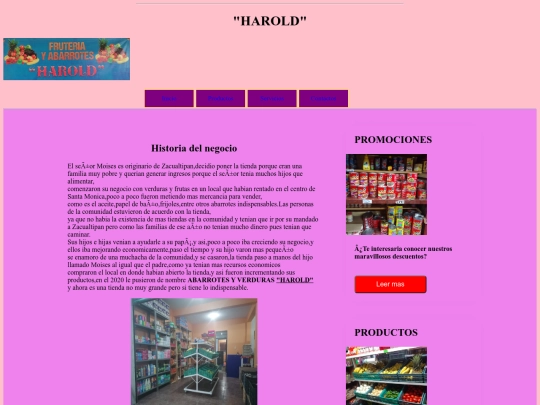 pagina web screenshot
