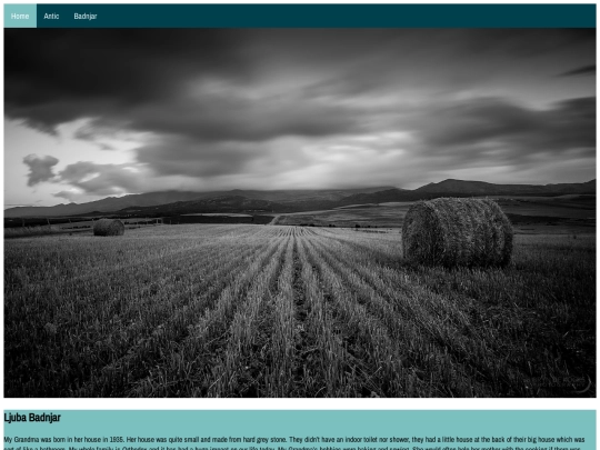 badnjar screenshot