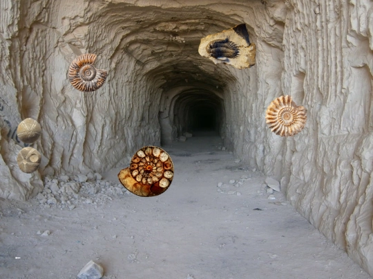 cavesofillustriouswonder/cavetunnel screenshot