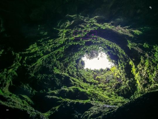 cavesofillustriouswonder/greenlight screenshot
