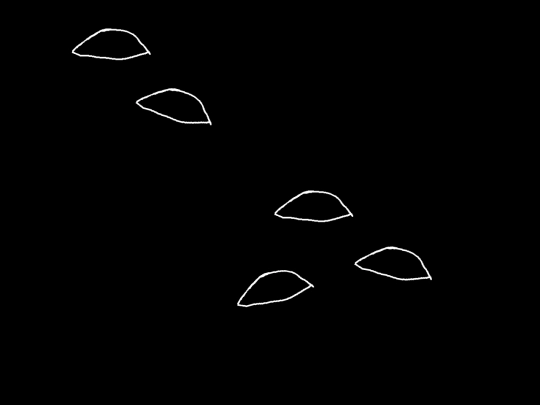 eyes_index screenshot